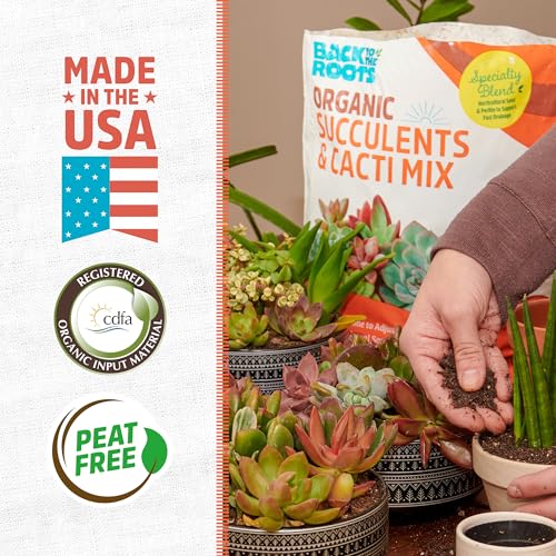 Back to the Roots 100% Organic Succulent & Cacti Mix (Value 12 Quart) | Made in the USA - size: 12 Quart, style: Suculent & Catcti Blend