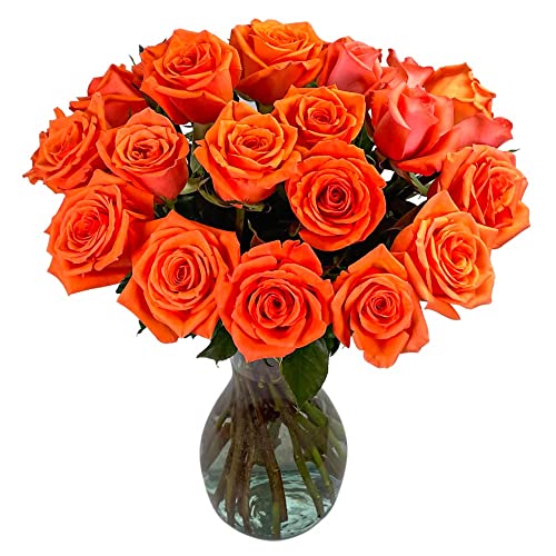 25 Orange Roses | Arabella Bouquets | Real Fresh Flowers for Delivery, Gift for Birthday Women, Congratulations, Anniversary, Thank You, Mother's Day - color: Orange, size: 25 Stems