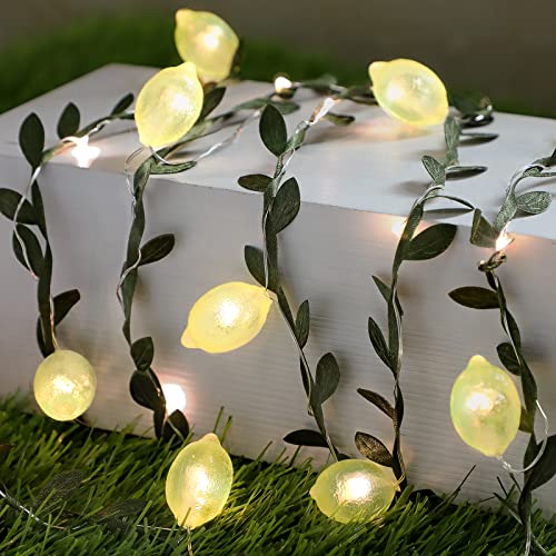 3D Lemon LED String Lights USB/Battery Operated Light String with Remote Timer 10FT 40LEDs Lemon Light Bulbs with Branches Leaves Fairy Lights for Bedroom Birthday Garden Party Decorations - style: Lemon