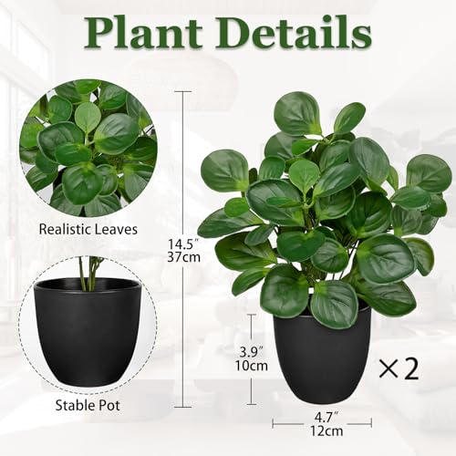 14.5" Artificial Plants Indoor Home Decor, Fake Potted Silk Plants for Shelves Living Room Decor, Small Artificial Office Desk Plants in Pots, Faux Peperomia Hope Tropical House Plant, Sets of 2 - color: 2 Sets # Total Green