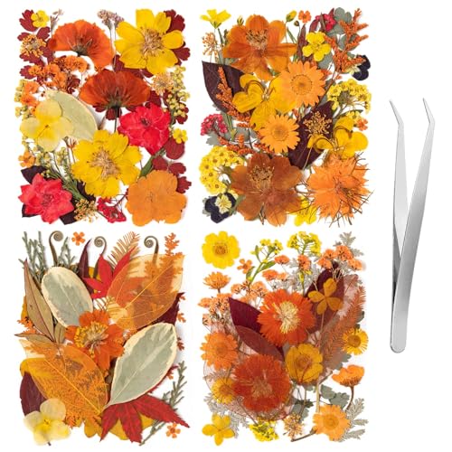 140 Pcs Fall Dried Pressed Flowers with Tweezer, Fall Themed Real Dried Flowers Leaves for DIY Crafts Resin Molds, Yellow Orange Dried Flowers for Autumn Halloween Thanksgiving Decorations - size: Fall