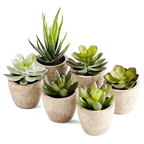 Artificial Succulents Plants Potted Set-Decorative Fake Succulent Plant Faux Plastic Plant Indoor &Outdoor for House Office Desk Bathroom Kitchen DIY Decor Gift Set of 6