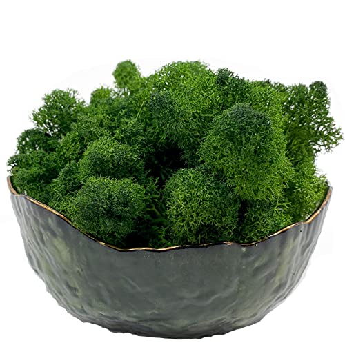 Moss Preserved Moss for Potted Plants Natural Fresh Green Reindeer Moss for Craft Arts Floral Wall Decor Decor Wedding Centerpieces Garden Artificial Terrariums Decoration for Christmas(Green) 3.5OZ - color: Green, size: 3.5oz