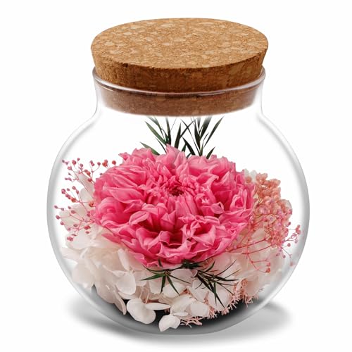NATROSES Christmas Birthday Gifts for Women - Handmade Preserved Flowers Wish Bottle for Valentine's Day, Mother's Day, Anniversary, Home Decor (Pink) - color: Pink