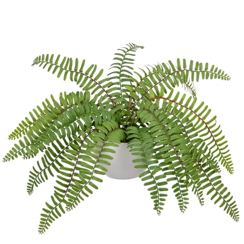 Hollyone Artificial Fern Potted Plant for Outdoors Indoors Lifelike Faux Boston Fern Artificial Plants in White Pot for Garden Patio Home Farmhouse Windowsill Office Decoration - color: Green 3
