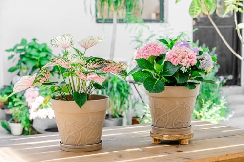 Melphoe Plant Pots Indoor with Drainage & Saucer, 2Pack 10 inch Flower Pots Outdoor Planters for Indoor Plants Garden Home Decor Cactus Succulent, Rigid Plastic (Imitation-Terracotta) Vine-Embossed - color: Undecorated Pottery Color, size: 10''