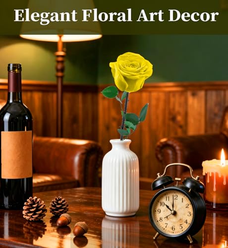 Preserved Flowers for Delivery,Yellow Rose Bouquets That Last 5 Years,Birthday Flowers Gifts for Women Mom Grandma Wife Friends,Mothers Day Gift,Romantic Floral for Anniversary or Valentine’s Day - color: Yellow, size: Single Rose