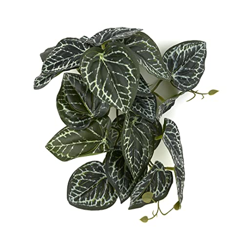 Reptile Plants for Terrarium, Amphibian Habitat Decor Artificial Hanging Plants with Suction Cup - Fake Anthurium Crystallinum - color: Fake Anthurium Crystallinum