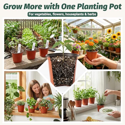 STARSIDE 100 Pack 4 Inch Nursery Pots, Durable Plastic Plant Pots for Seedlings, Seed Starter Pots with Drainage Holes, Come with 100 Plant Labels for Vegetables, Flowers, and Succulent Cuttings