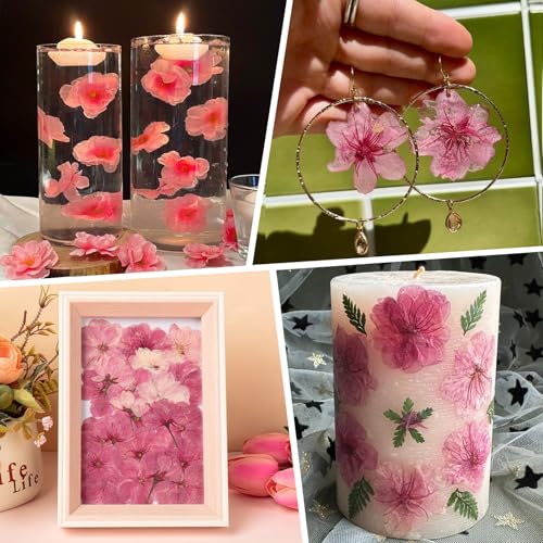 101 PCS Pressed Cherry Blossom for Crafts, Pink Dried Pressed Flowers for Resin DIY Jewelry Making Cake Card Scrapbook Decor, Dried Sakura Flowers for Soap Candle Making - size: Cherry