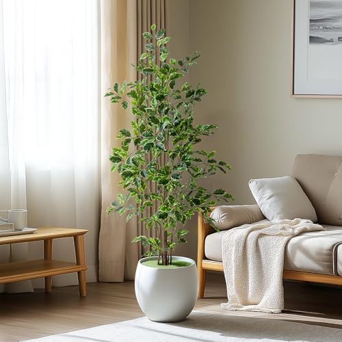 Bailikang Artificial Ficus Tree Indoor 5ft, Large Potted Faux Tree with Realistic Silk Leaves & Trunk for Home Office, Living Room Corner Decor - color: White Green, size: 5ft