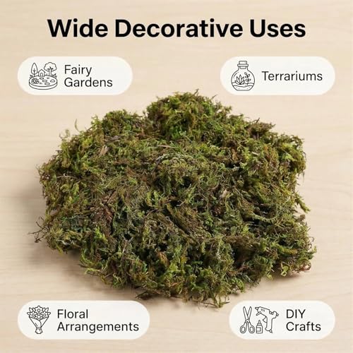 Artificial Moss, Fake Green Moss for Fairy Garden, Crafts, DIY Terrariums, Floral Arrangements, Waterproof Colorfast Moss Decor for Indoor Plants, Reusable (Greenish Brown 1.76 Oz) - color: Greenish Brown 1.76 Oz