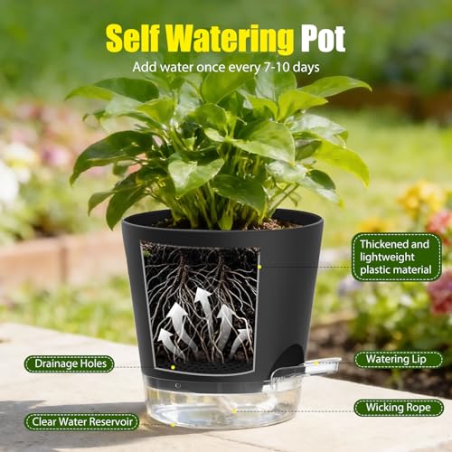 Plant Pots 6 Inch Self Watering Pots,6 Pack Plastic Planters with Drainage Holes and Clear Saucers,Plastic Flower Pots,Nursery Planting Pot for Indoor Out Door Plants (Black) - color: Black, size: 6 inch