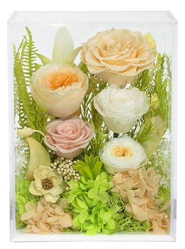 Valley of Rain & Forest Long-Lasting Real Flowers With Delivery | Handcrafted Preserved Rose Bush For You to Send Love for All Occasions, Indoor Floral Decor (Yellow White Roses Arrangement) - color: Champagne Yellow Rose Spring-themed