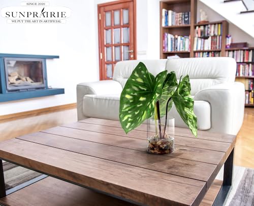 SUNPRAIRIE Tropical Artificial Plant in Clear Pot with Artificial Water, Wide Arrowhead Leaves. Faux Plants Indoor and Outdoor