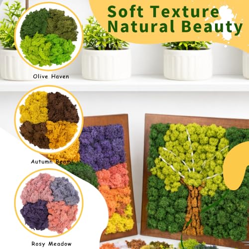Preserved Reindeer Moss, Natural Decorative for Home Decor, DIY Crafts, Moss Wall Art, Terrariums, Floral Arrangements, Wedding & Holiday Decorations, Total 14oz (Rosy Meadow) - color: Rosy Meadow