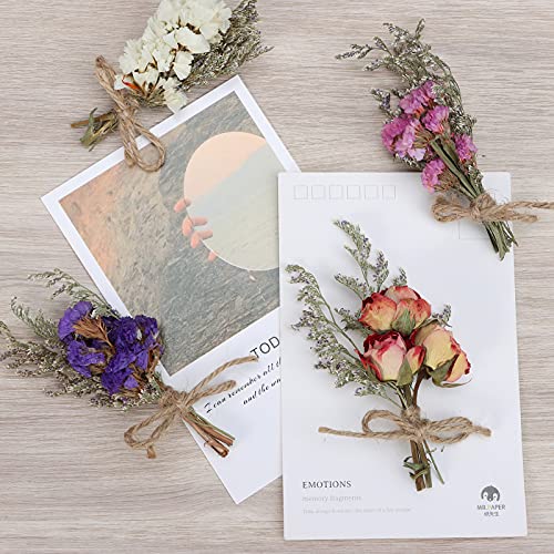 8Pcs Mini Dried Flowers Natural Forget-me-nots Dried Flowers Bouquet Don't Forget Me Flower Bouquets Natural Gypsophila Real Plant Stem Bunch for DIY Wedding Decor(be Some Slight Damage in Reality) - color: Type2