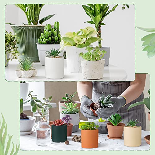 WILLBOND 50 Pcs Bulk Mini Artificial Succulents Plants Assorted Unpotted Realistic Plants Fake Textured Succulent Picks Realistic Plastic Cactus Stems for Succulent Garden Home Decor (Normal Style) - color: Normal Style