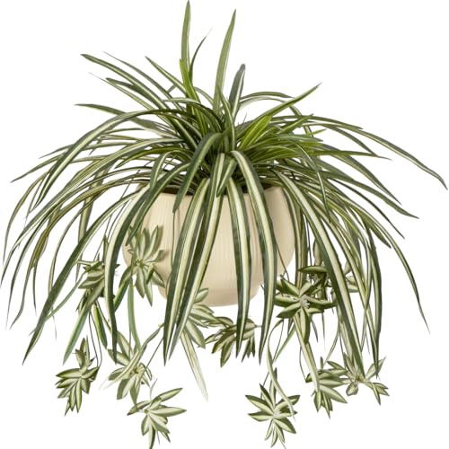Sousi Artificial Spider Plant Silk Faux Chlorophytum Comosum Greenery Fake Spider Hanging Plant Decor for Outdoor Indoor Home Garden Office Summer Decoreation 3Pcs(23.62'') - color: Green Without Pot