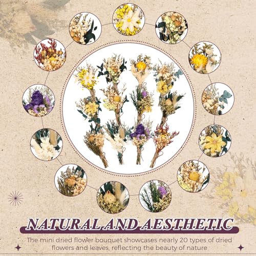 Layhit 24 Pcs Boho Dried Flower Bouquet Mini Wedding Handmade Dry Flowers Decor for Vase Crafts DIY Photo Boutonniere for Men Floral Plant for Bridesmaid Gift Birthday Decor (Vivid) - style: Vivid