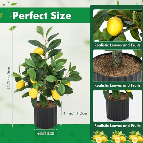 Giegxin 2 Pcs Artificial Lemon Tree 15.7 Inches Fake Artificial Potted Plants Faux Lemon Citrus Tree with Pot Faux Plants Indoor for Home Kitchen Office Living Room Table Desk (Black Pot) - color: Black Pot