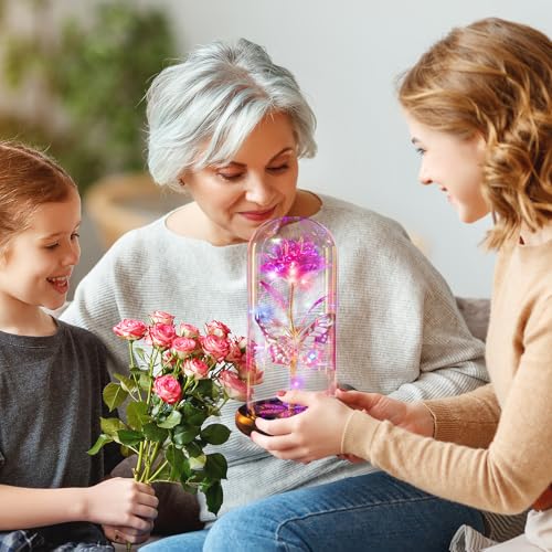 Mothers Day Flowers Gifts for Mom Women Birthday Gift, Galaxy Glass Rose Forever Eternal Crystal Flowers Rose in Glass Dome with Butterfly Mother's Day Roses Gifts for Mom Daughter Wife Grandma Pink - color: D Pink