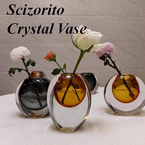 Crystal Vase, Modern Decorative Vase, Minimalist Floral Vase, Light Luxury Style for Home Decor, Centerpiece, Office, Pampas Grass, Dried Flowers, Flowers and Buds (Big Amber) - color: Thin Amber