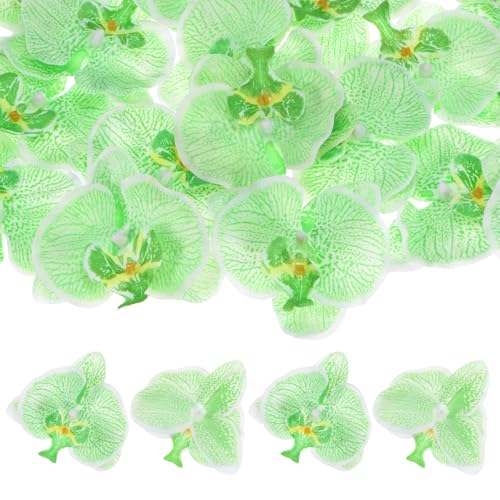 M METERXITY 20-Pack Artificial Orchid Flower Heads, Silk Faux Butterfly Flowers Head for Wedding/Bouquet/Bridal/Party Decor, Fake Phalaenopsis Petals Bulk [3.54 Inch, Green] - color: Green, size: 3.54 Inch