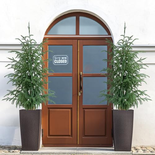 Artificial Norfolk Pine Trees 2 Pack, 3FT Fake Potted Tree with Decorative Burlap Base & Real Touch Leaves, UV Protected Indoor Outdoor Plant for Home Office Garden Decor - size: 3FT