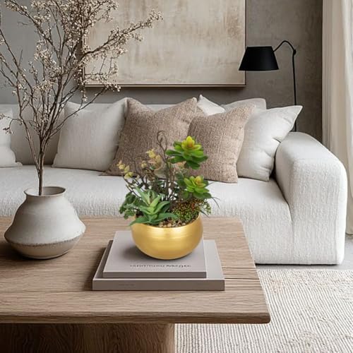 DILATATA Artificial Succulent Plants in Gold Pot Faux Succulent Arrangement Fake Potted Plants with Pebbles for Home Office Desk Shelf Table Decor - color: Gold