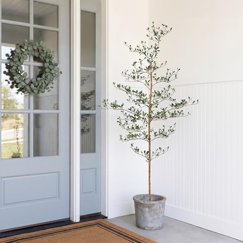 Verinatural Artificial Black Olive Tree 6ft - Shady Lady Real Wood Trunk Faux Olive Trees Indoor Outdoor Decor - Modern Aesthetic Tall Fake Plants with Pot for Home Living Room Patio Floor - size: 6ft