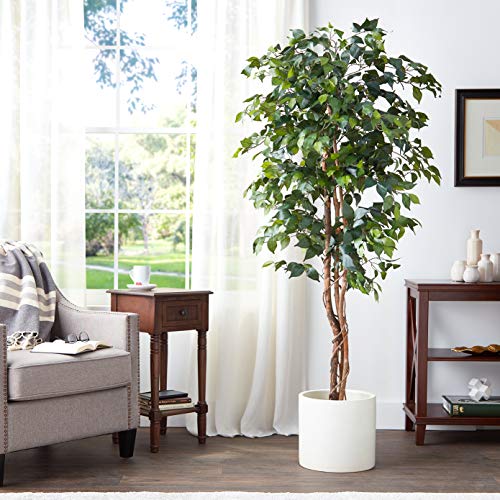 Nearly Natural 6ft Triple Trunk Artificial Ficus Tree with Natural Wood Trunks, Fake Tree for Indoor Home Décor, Faux Ficus Tree with Black Nursery Pot - size: 6ft, style: Tree in Pot