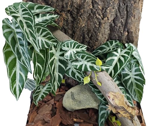Woyrise 2 Pack Reptile Plants, Terrarium Hanging Plant Vines, Artificial Leaves with Suction Cup, Bearded Dragon Tank Accessories for Gecko Lizard Snake Frog Tortoise Decorations - Alocasia Velvet - color: Alocasia Velvet