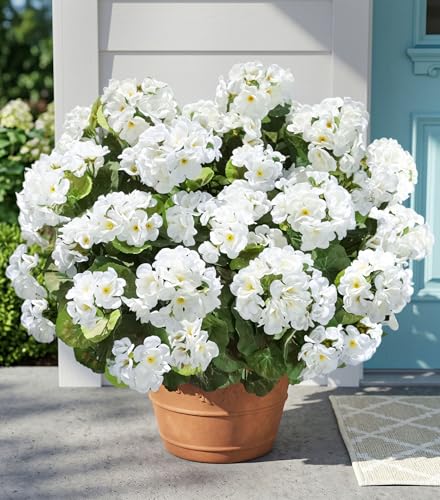 Fake Geraniums Artificial Flowers for Outdoors Outside, 6 Bundles White Silk Geraniums Fake Flowers Plants Realistic UV Resistant Faux Flowers for Outdoor Planters Garden Balcony Yard Porch Indoor - color: White