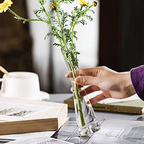 9.8 Inches Clear Glass Tall Bud Vase Single Stem Vases Minimalist Modern Flower Bud-Vase with Round Slanted Mouth for Tabletop Decoration Wedding Centerpiece Ornament