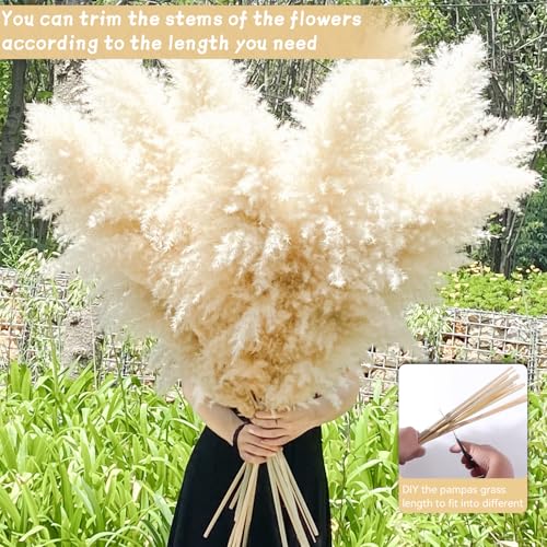 40" 22PCS Dried Pampas Grass Decor Tall,Large Natural Beige pompas Grass Tall Pampas Grass for Floor Vase,Wedding,Party,Farmhouse,Boho Home Decor,and Creating a Bohemian Ambiance