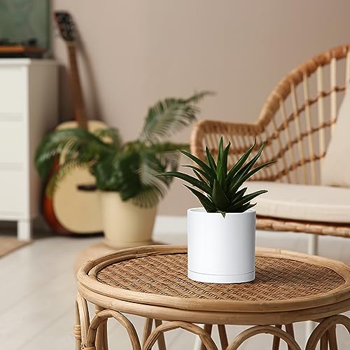 D'vine Dev 2 Pack 5 Inch Modern Plastic Plant Pots, Small Garden Planters for Plant with Drainage Holes and Saucers, White Color, 74-Z-G-1 - size: 5"