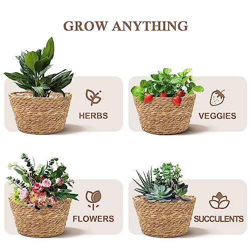 Athaliah Woven Plant Basket Set of 3 with Plastic Liner, Indoor Planter Baskets for Floor Plants, Water Hyacinth & Corn Husk Basket Planters, Decorative Rustic Boho Home Decor