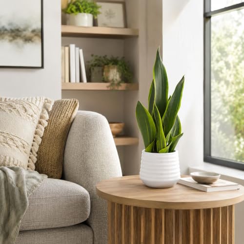Artificial Snake Plant Potted, 15" Faux Plant, Suitable for Home Office Living Room Window Sill Indoor Decor Housewarming Gifts - color: White