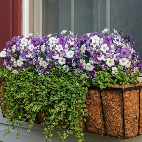 24 Bundles Artificial Flowers for Outdoors Fake Plants Spring Summer Decor, Realistic Fake Silk Flowers Colorful Morning Glory UV Resistant for Porch Outside Planter Porch Patio Yard (Purple-White) - color: White-purple, size: 24PCS