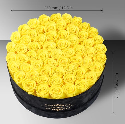 Gifts for Women – NATROSES 60 Preserved Roses in Luxury Black Velvet Box, Preserved Flowers for Delivery Gift for Her, Elegant Rose for Birthday, Mother’s Day, Christmas (Yellow) - color: Yellow, size: 60 Roses