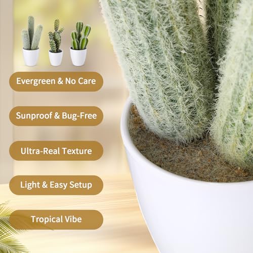3 Pcs Artificial Cactus Plants 9-11'' Fake Cactus Potted Decor No Maintenance Faux Succulent Cacti Nordic Style Decor for Home Office Desk Shelf Living Room Indoor Housewarming Gifts