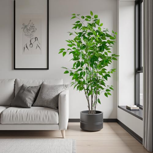 5ft Artificial Ficus Tree with White Plastic Planter | Collapsible trunk structure enables quick assembly and compact space-saving storage - color: Green, size: 5ft