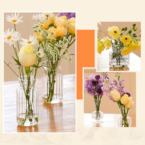 12 Pcs Ribbed Glass Bud Vases Set, 4 Styles Clear Small Flower Vases in Bulk, Roman Column Vertical Ribbed Design for Wedding, Home Decor, Table Centerpieces, Party