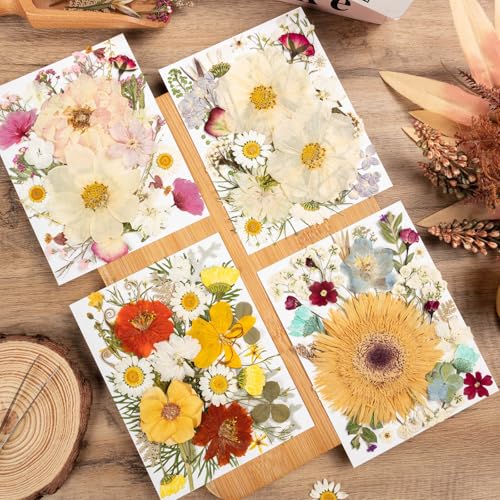 140pcs Dried Pressed Flowers Bulk, Natural Fall Pressed Dried Flowers with Tweezer for DIY Crafts Resin Mold Candles Cake Bridal Scrapbooking Supplies - size: Elegant