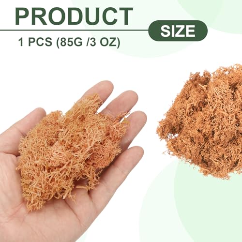 MECCANIXITY 3oz Preserved Reindeer Moss, Orange Decorative Artificial Fake Moss for Potted Plants Indoor Crafts Lichen Centerpieces Decor - color: Orange, size: 3oz