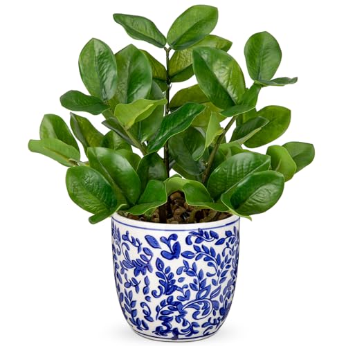 Briful Faux Plants Indoor 11.8in Fake ZZ Silk Plant in Blue and White Ceramic Pot Realistic Artificial Tropical Plant for Home Office Room Kitchen Shelf Decor - color: Small Size-blue and White Pot