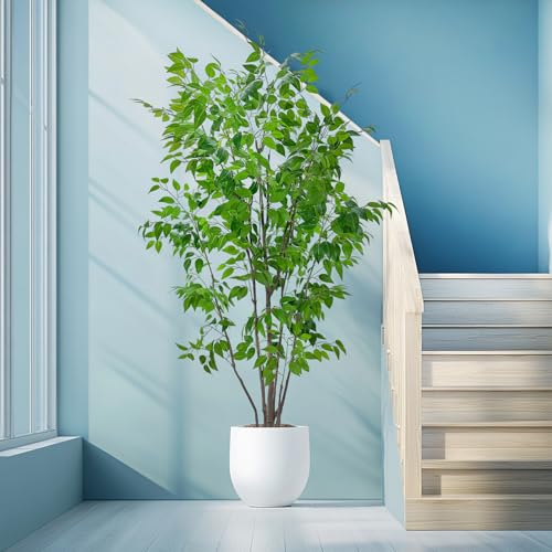 7ft Artificial Ficus Tree with White Plastic Planter | Collapsible trunk structure enables quick assembly and compact space-saving storage - color: Green, size: 7ft