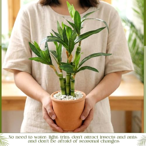 2 Pack Artificial Lucky Bamboo Plant 16 x 4 Inch Potted Fake Plant Decoration Green for Farmhouse Home Office Kitchen Counter Top Indoor Decor