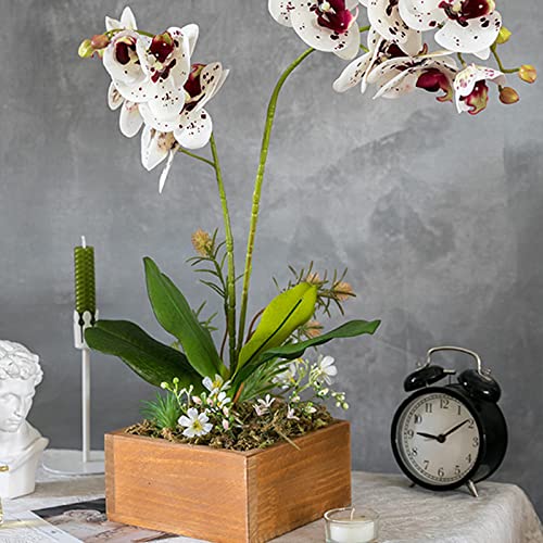 HinyoCo 5 Pcs Artificial Orchid Flowers and 4 Bundles Leaves, Artificial Phalaenopsis Flowers 32 Inch Stem Plants for Home Wedding Decoration (White with Spots) - color: White With Spots